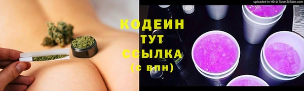 молекула духа Балахна