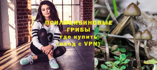 молекула духа Балахна