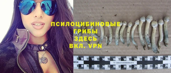 молекула духа Балахна