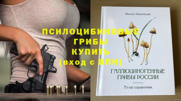 молекула духа Балахна
